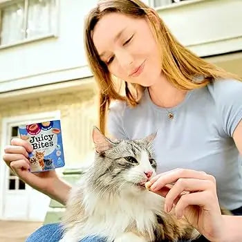 Inaba Cat Juicy Bites Tuna & Chicken 34g 6pk 