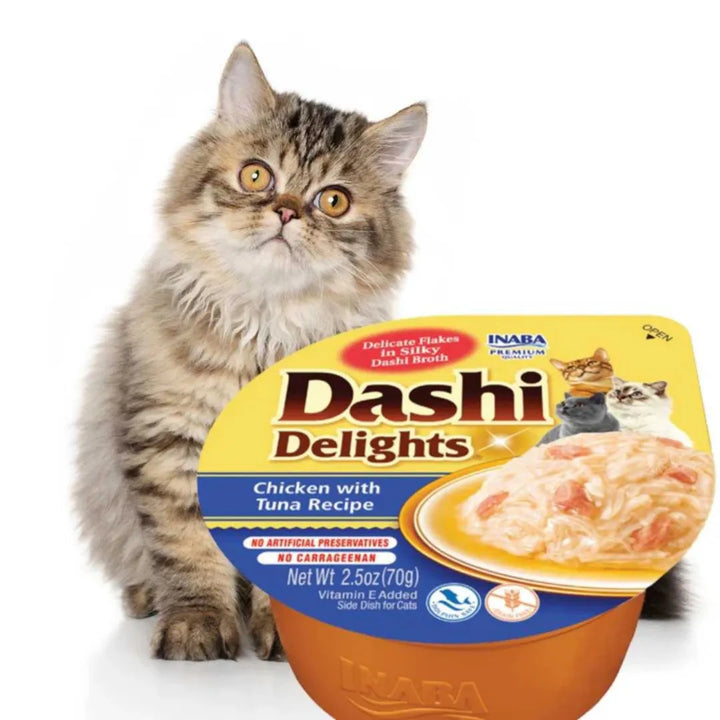 INABA DASHI DELIGHTS CUP CHICKEN 70G 6PK