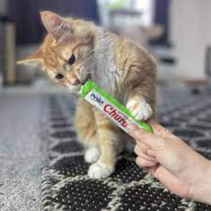 Inaba Cat Churu Puree Tuna Chicken Varieties 