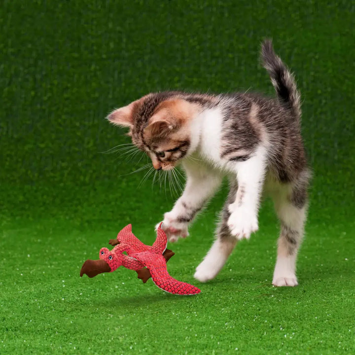 KONG CAT DYNOS