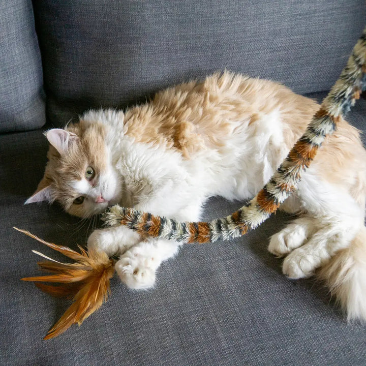 KONG CAT SWIZZLE BIRD 
