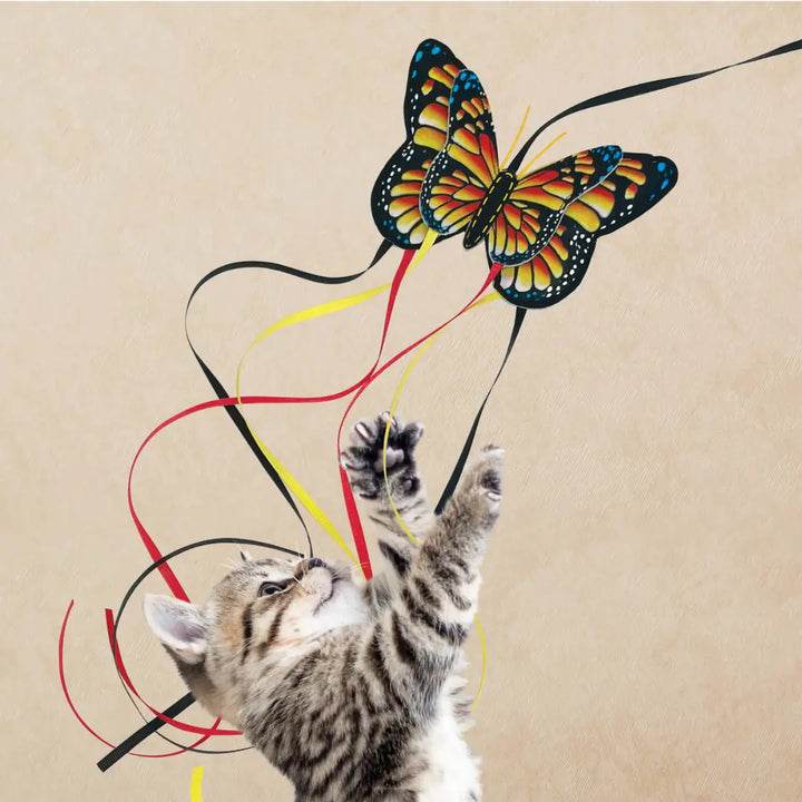 Kong Cat Teaser Butterfly Assorted 1
