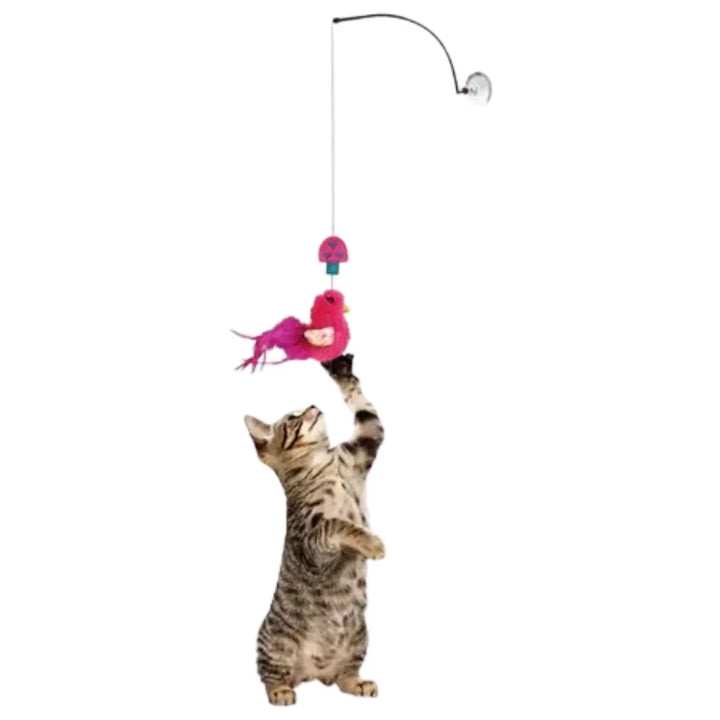KONG CAT TEASER TWEEZERZ ASSORTED 