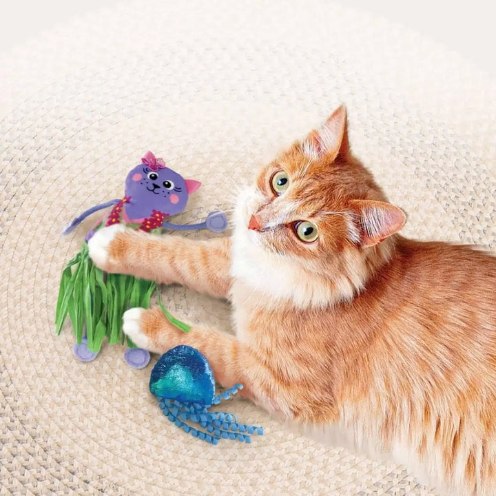 KONG CAT TROPICS HULA