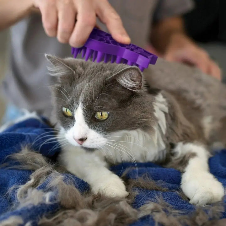 KONG Cat Zoomgroom (CZG)