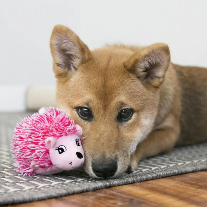 KONG COMFORT HEDGEHUG PUPPY MEDIUM