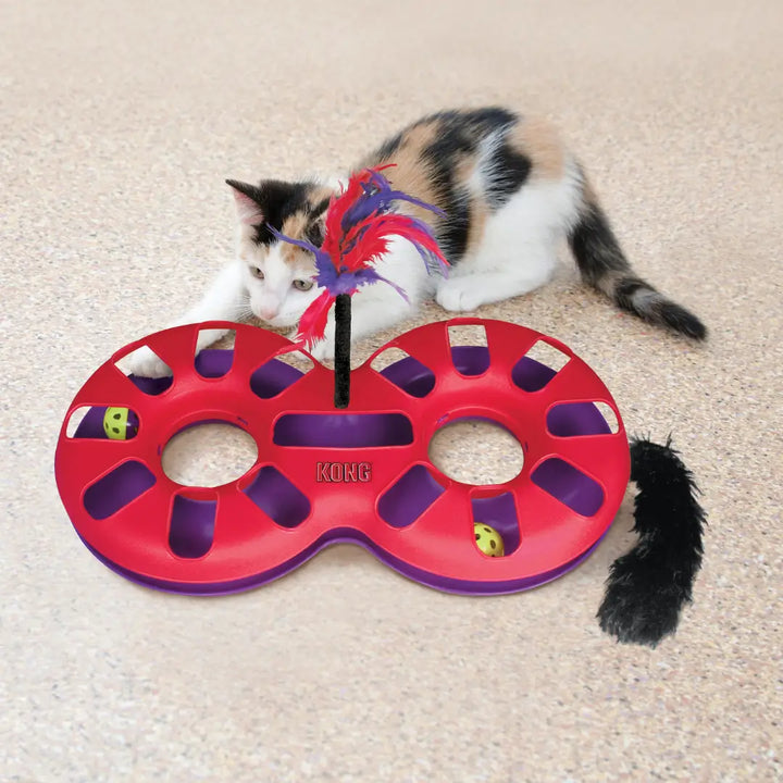 KONG Cat Eight Track 