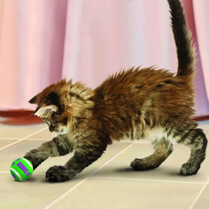 KONG Cat Tennis Balls with Bells