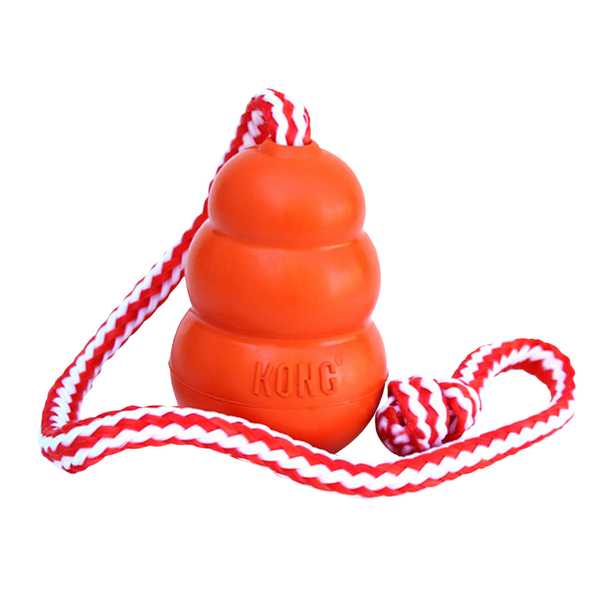 KONG DOG AQUA LARGE (CK1)
