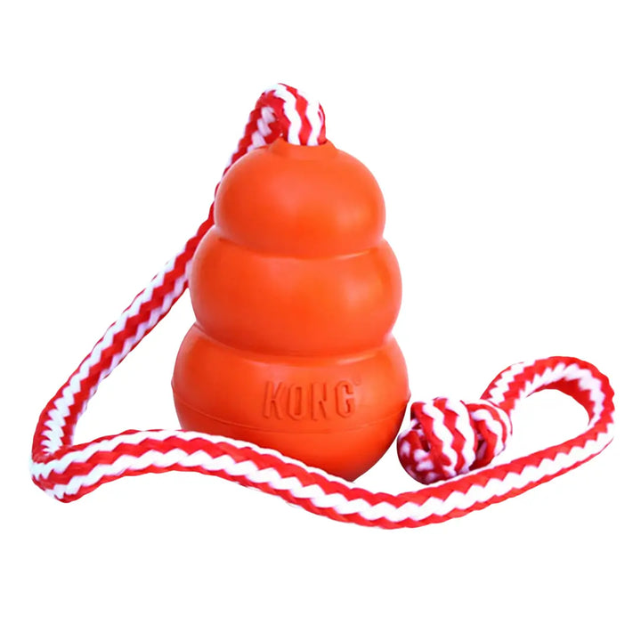 KONG DOG AQUA