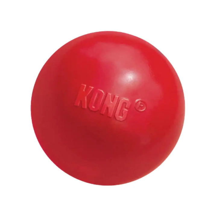 KONG DOG BALL