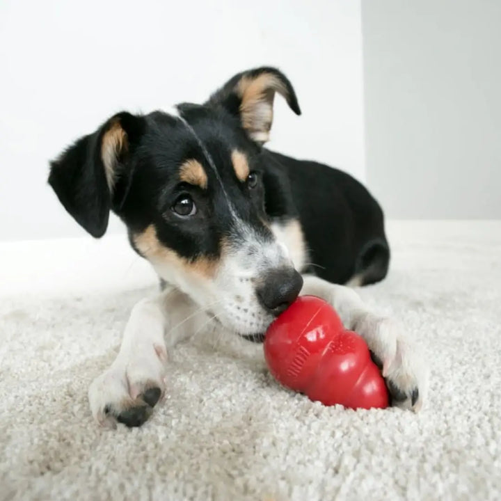 KONG DOG CLASSIC KING
