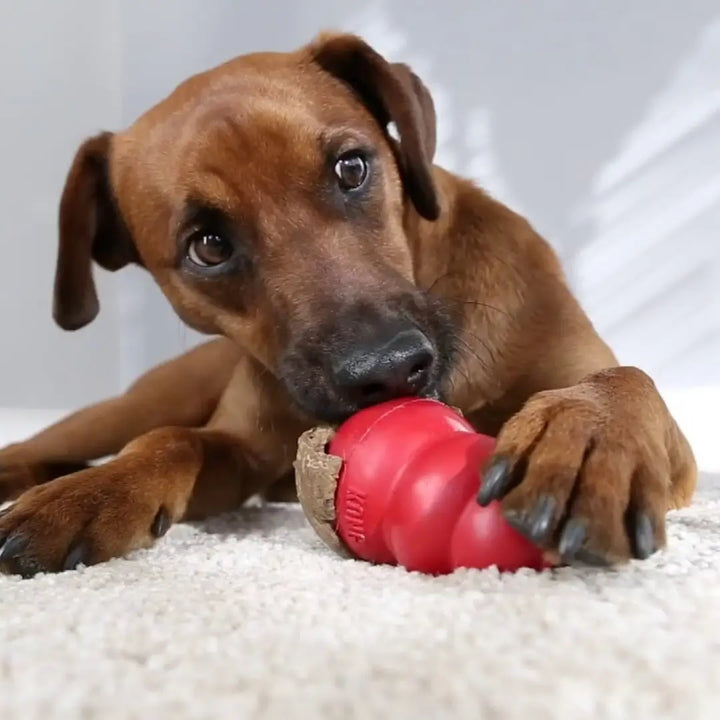 Kong Dog Classic Medium