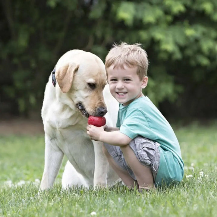 KONG DOG CLASSIC XLARGE