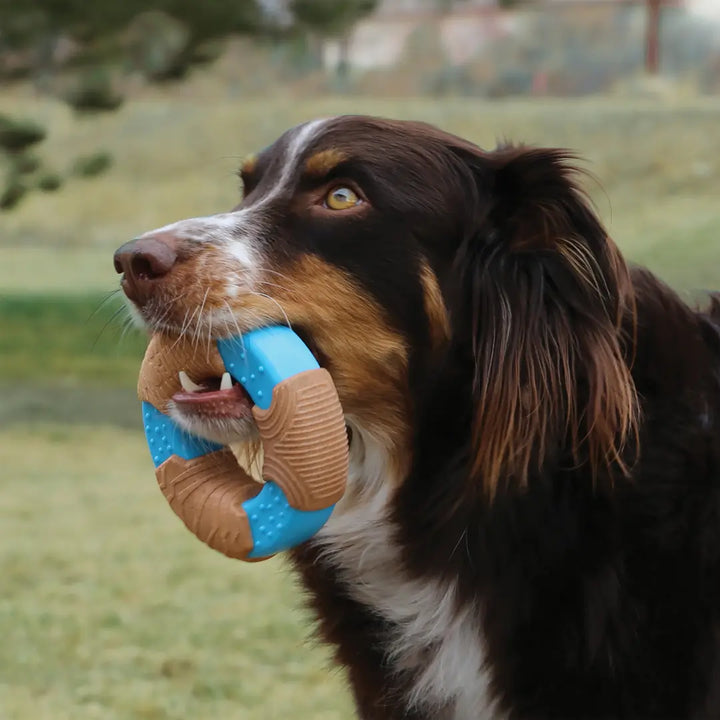 KONG DOG CORE STRENGTH BAMBOO RING 