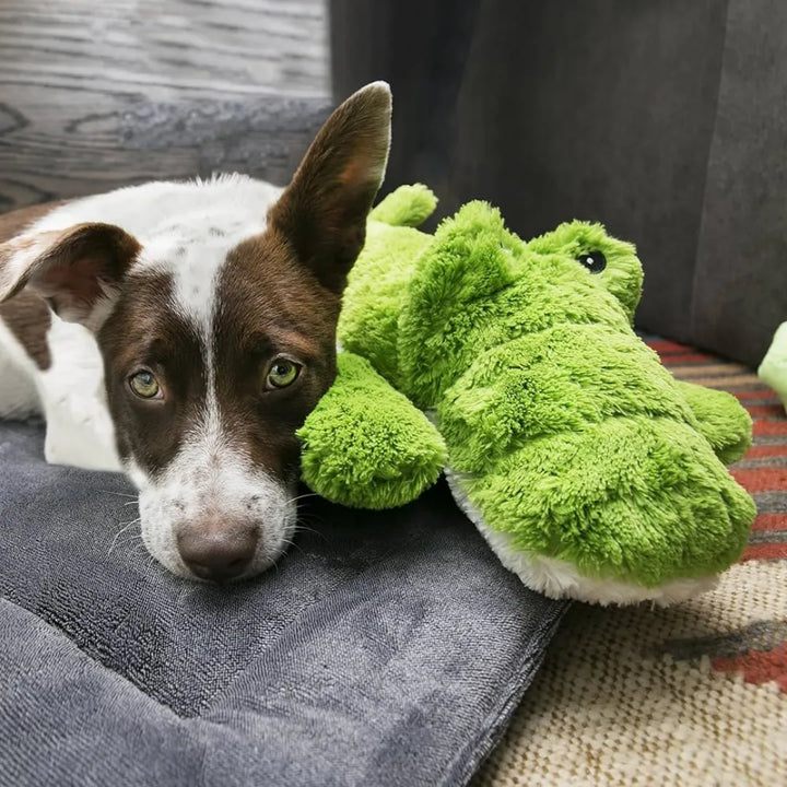 KONG DOG COZIE ALI ALLIGATOR