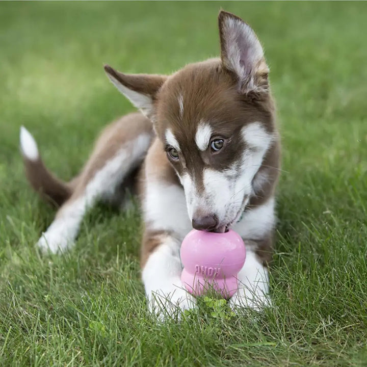 KONG DOG EASY TREATS PUPPY