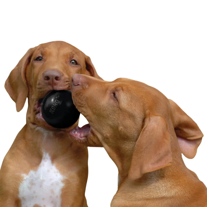 KONG DOG EXTREME BALL