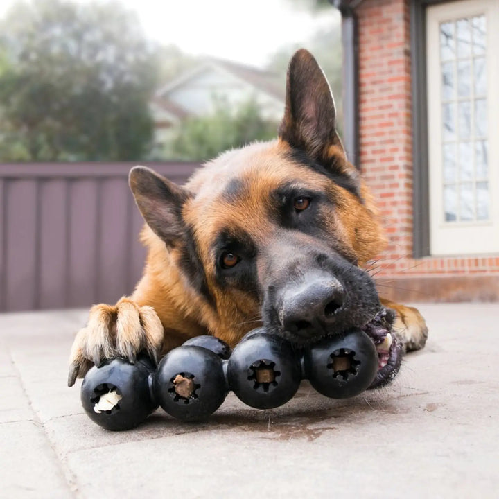 KONG Dog Extreme Goodie Ribbon Medium 