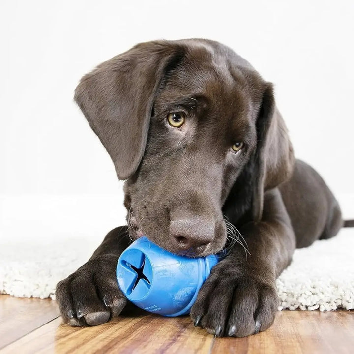 KONG DOG GENIUS LEO SMALL