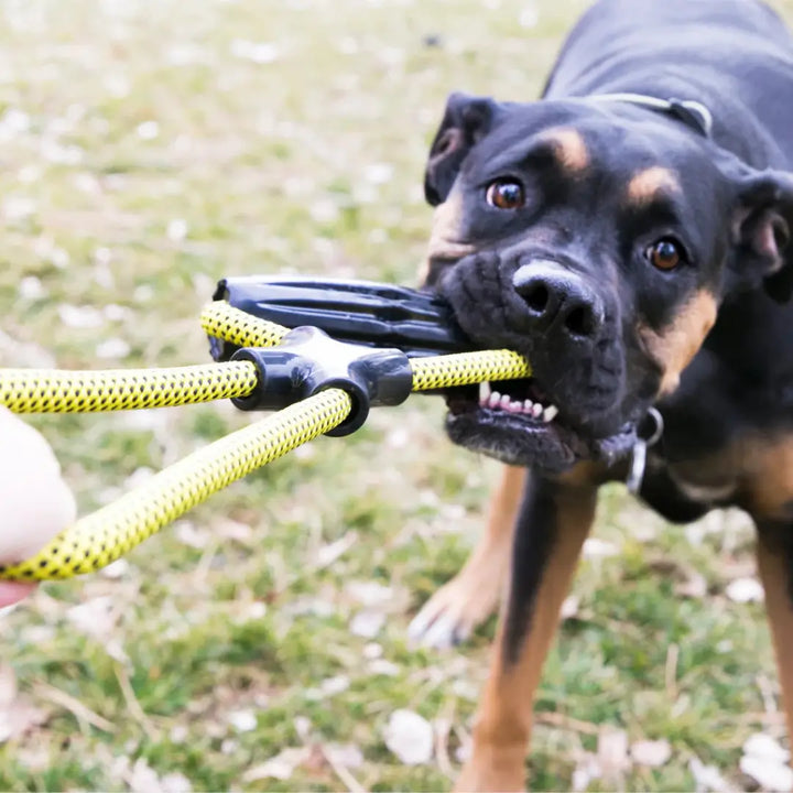 KONG DOG JAXX INFINITY TUG