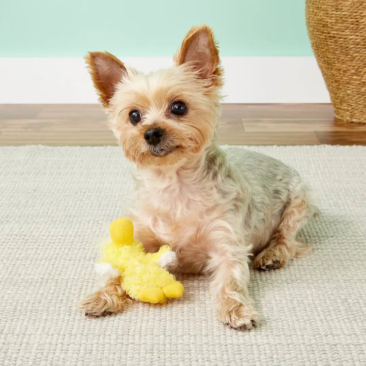 KONG DOG PLUSH PLATY DUCK