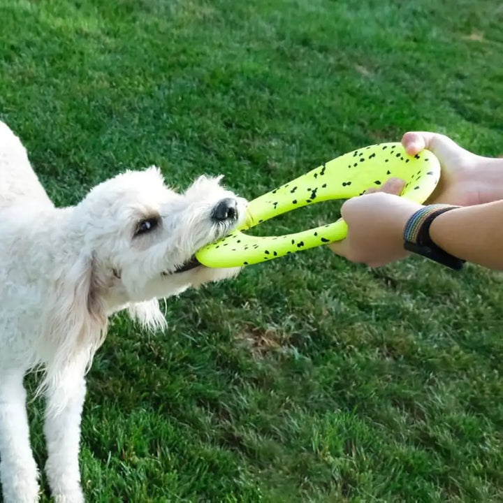 KONG DOG REFLEX FLYER 