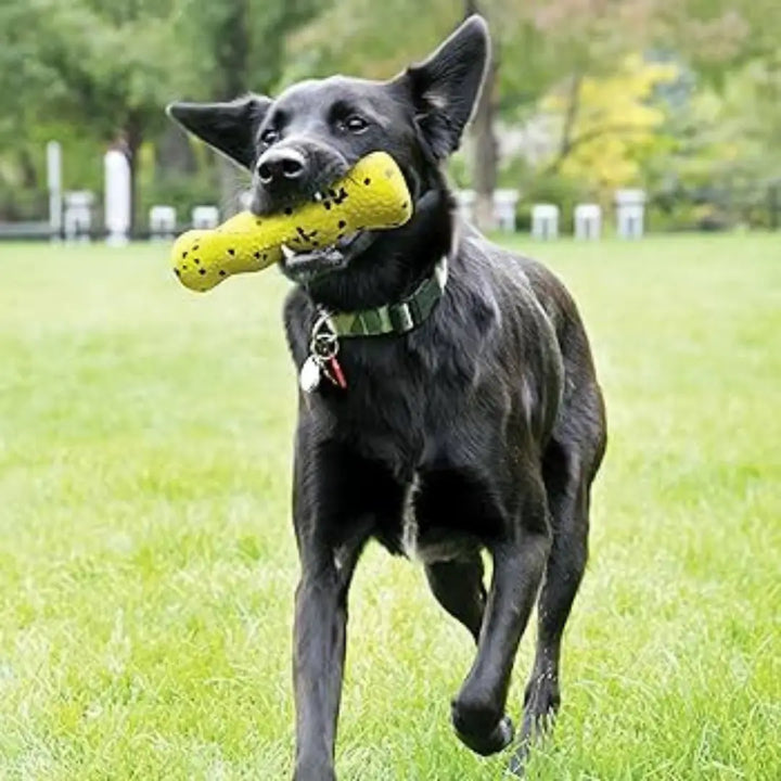 KONG DOG REFLEX STICK