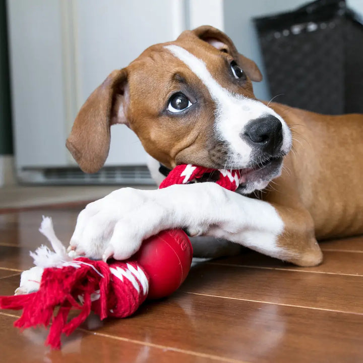 DOG SMALL BALL W'ROPE 