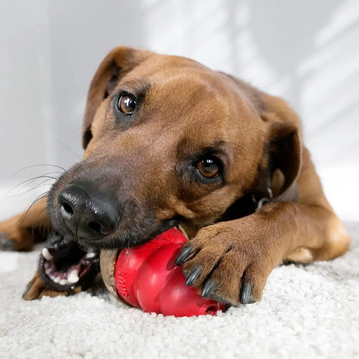 KONG DOG STUFF'N LIVER SNACKS