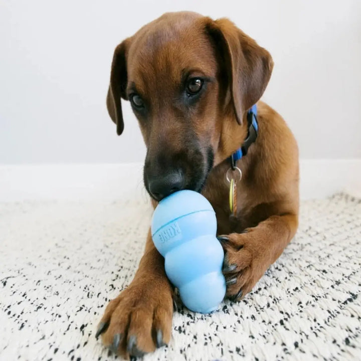 KONG DOG STUFF'N PUPPY ZIGGIES 