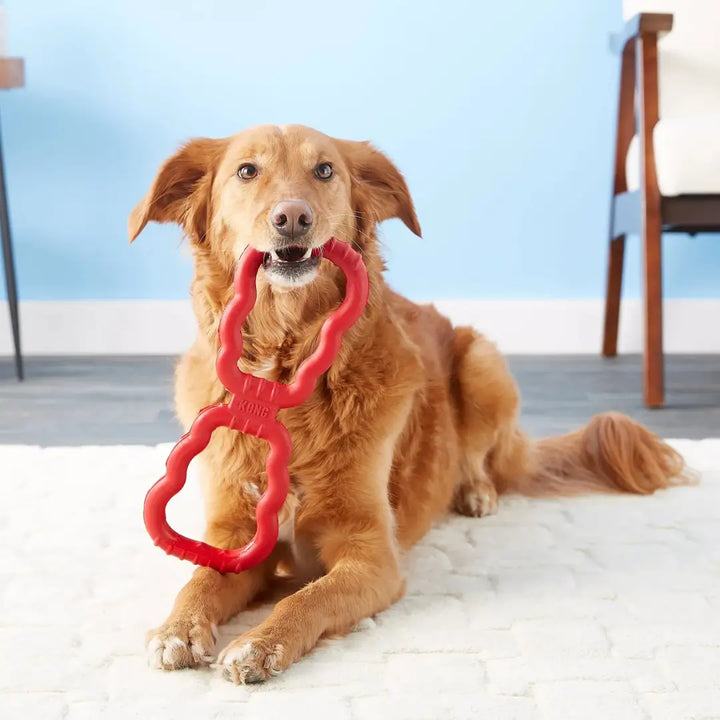 KONG DOG TUG TOY