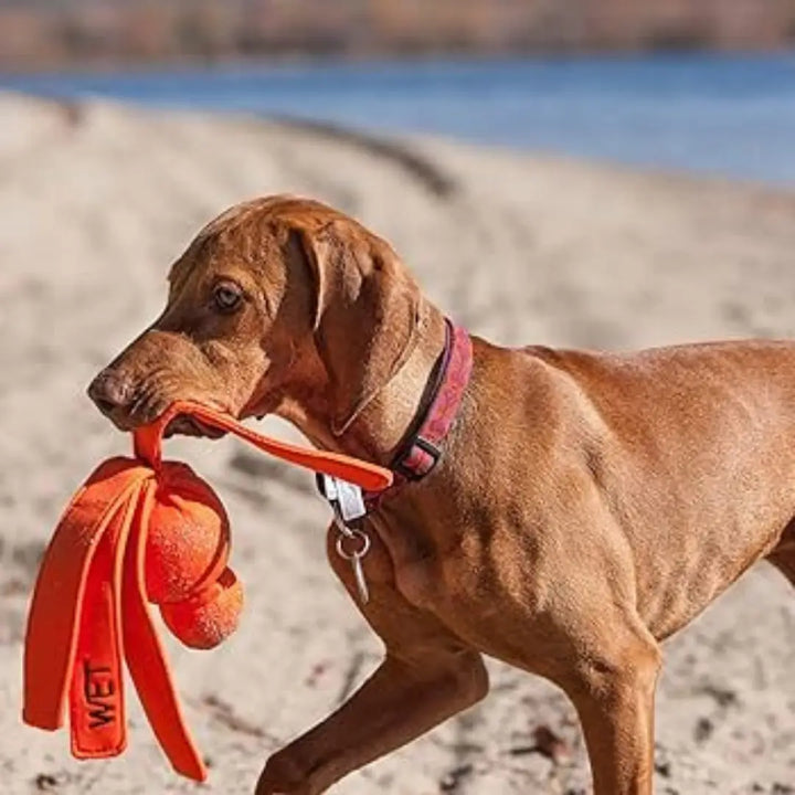 KONG DOG WATER WUBBA LARGE