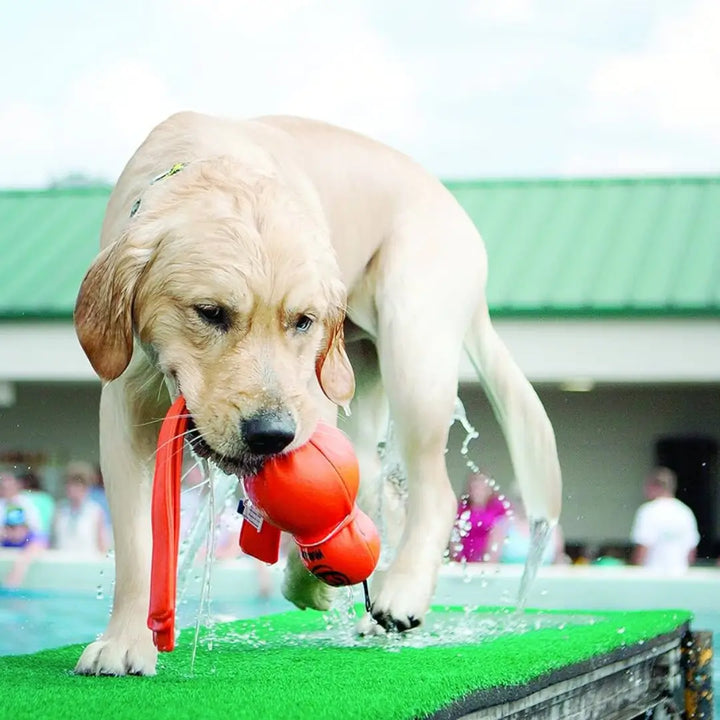 KONG DOG WATER WUBBA XLARGE 