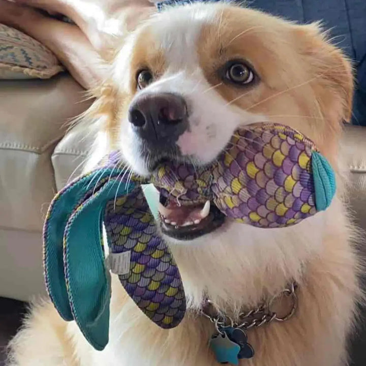 KONG DOG WUBBA FINZ BLUE 