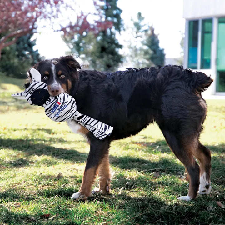 KONG DOG WUBBA NO STUFF ZEBRA