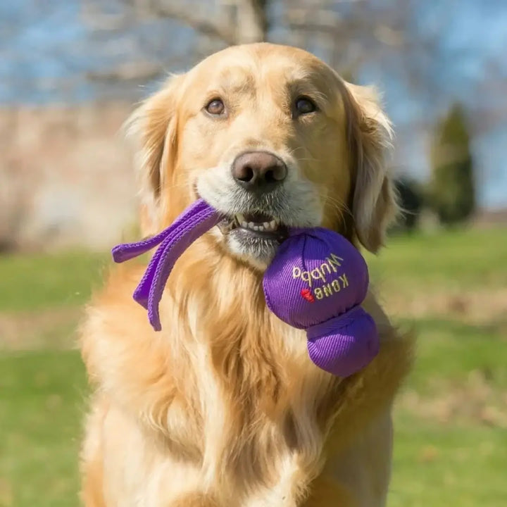KONG DOG WUBBA