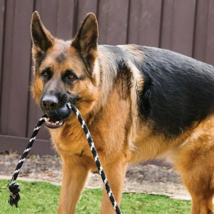 KONG Dog Extreme Ball W Rope Lge 