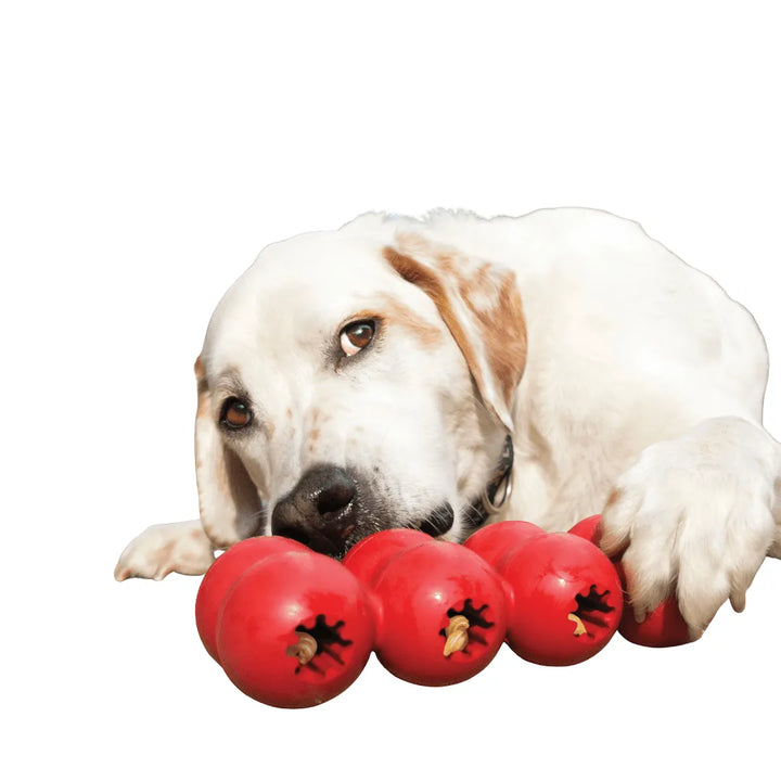 KONG Dog Goodie Ribbon Large – Engaging