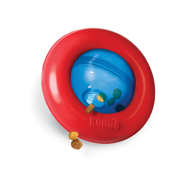 KONG DOG GYRO LARGE (PGY1)