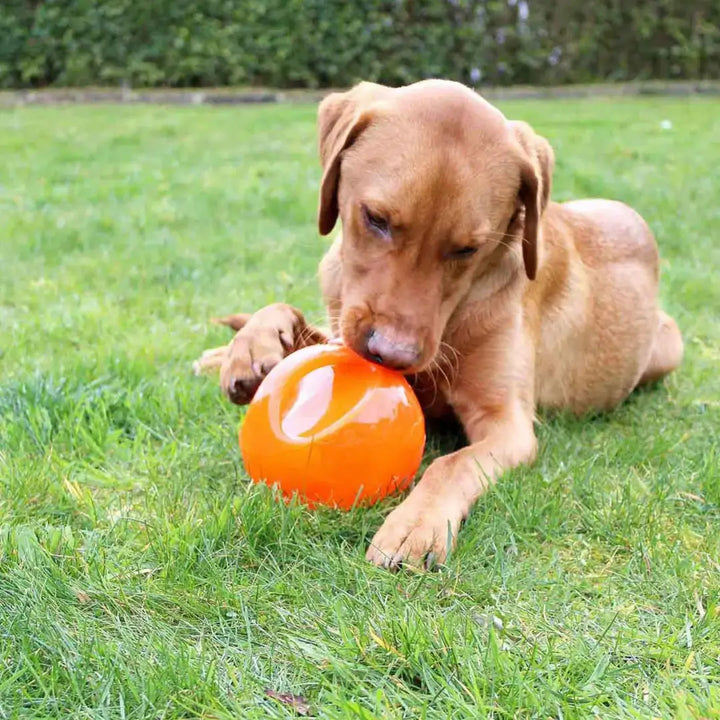 KONG Jumbler Ball Medium
