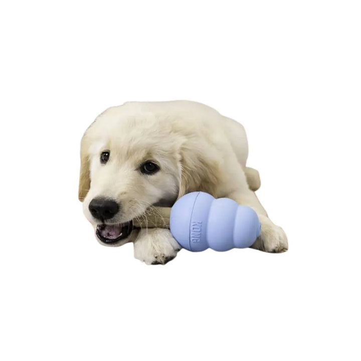 KONG Puppy Small