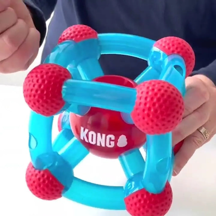 KONG Rewards Tinker Md/Lg (PEPT11)