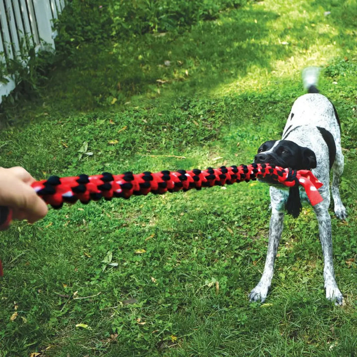 KONG SIGNATURE ROPE 20' DUAL 