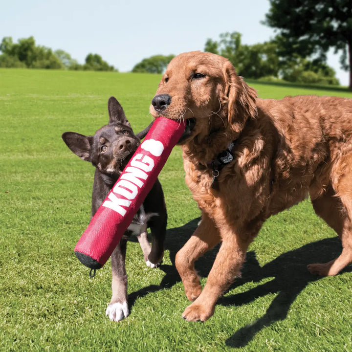 KONG SIGNATURE STICK LARGE with dogs