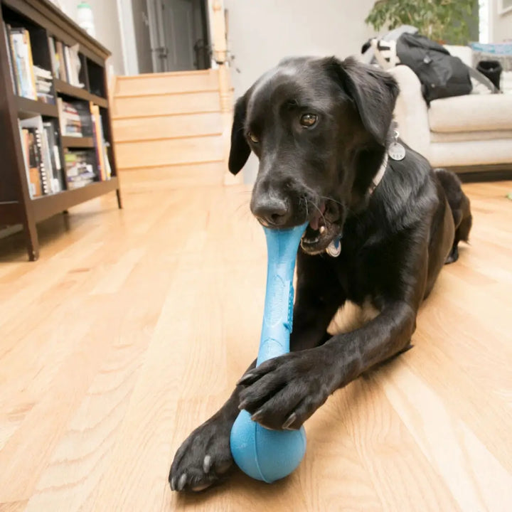 KONG SQUEAKSTIX 
