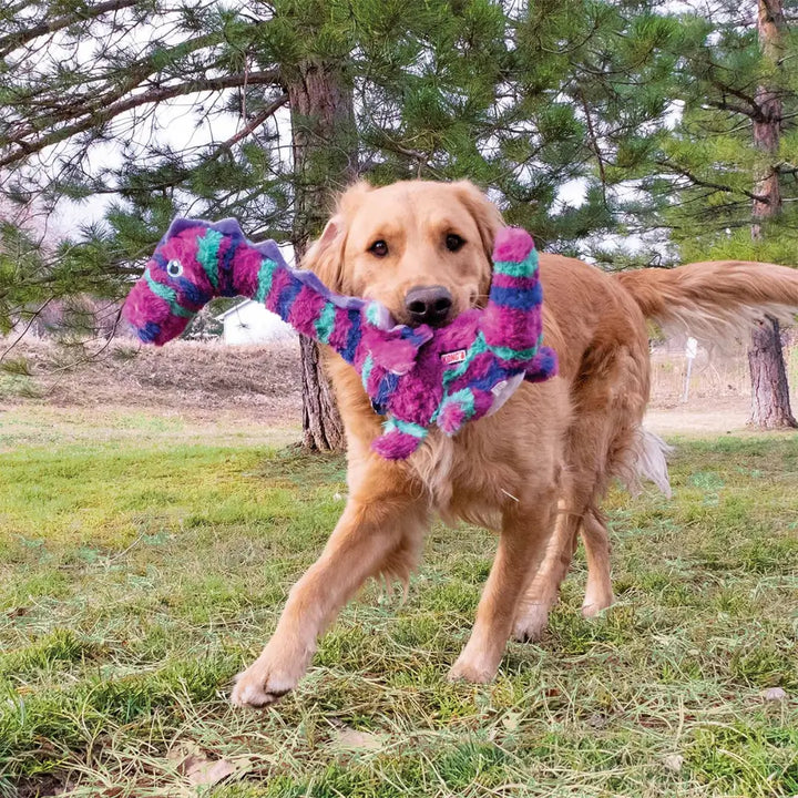 KONG Shakers Honkers Dragon 