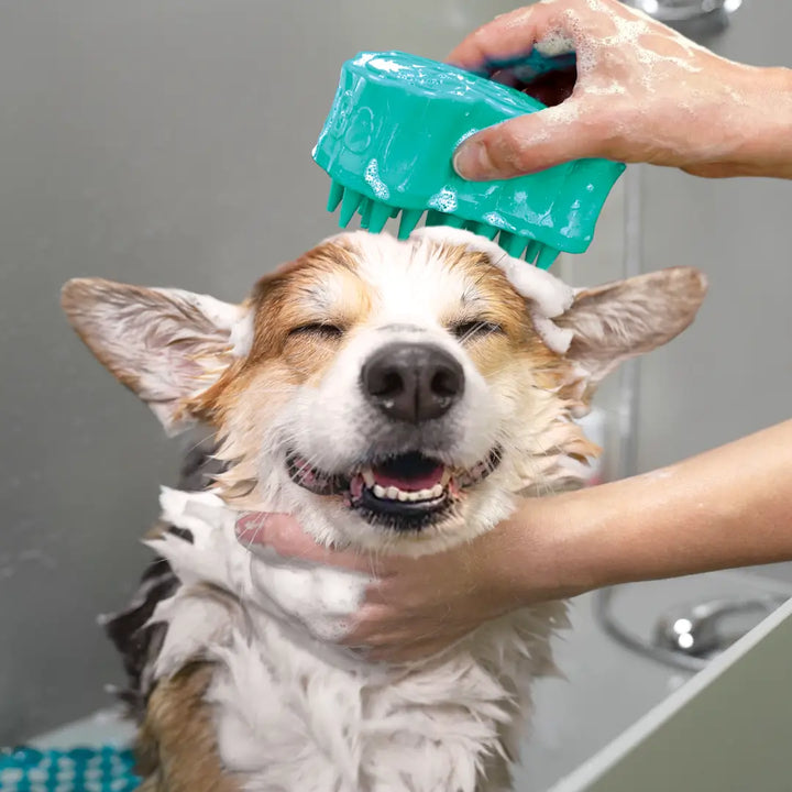KONG ZOOMGROOM