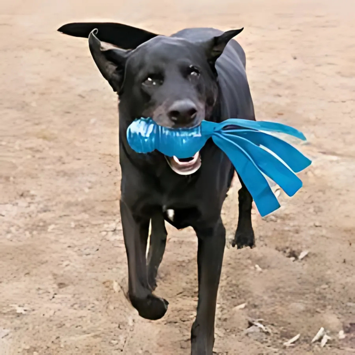 KONG WUBBA COMET LARGE