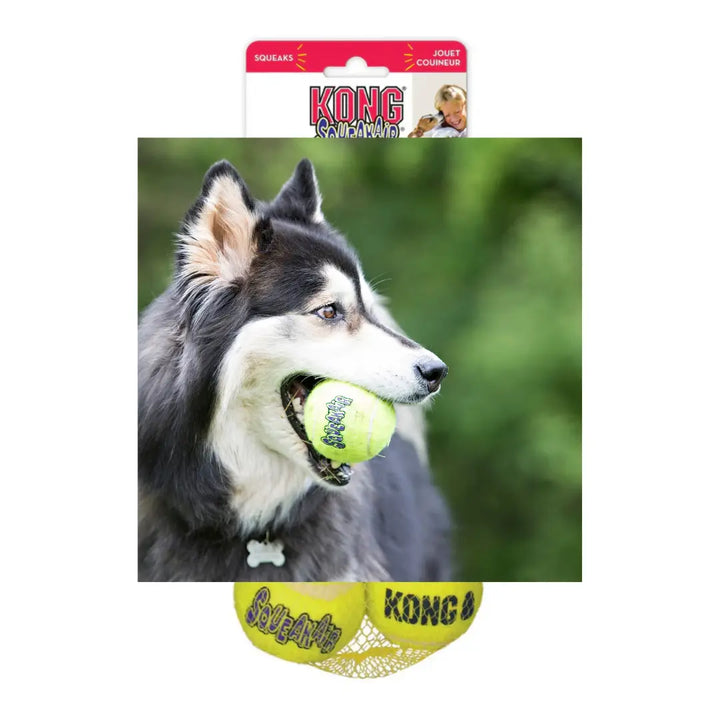 Kong Dog Airdog Squeaker Balls
